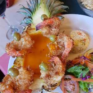 Chihuahua coconut shrimp